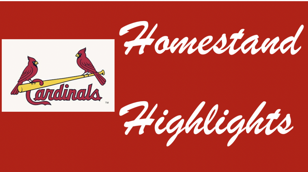 Gear up for St Louis Cardinals baseball at Rally House! 