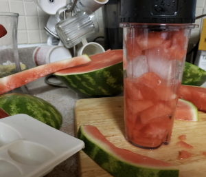 Watermelon in mixer