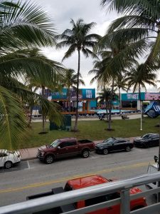 View from Wet Willies
