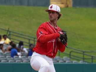 For Cardinals prospects Quinn Mathews and Tekoah Roby, Triple A learning curve includes a different baseball