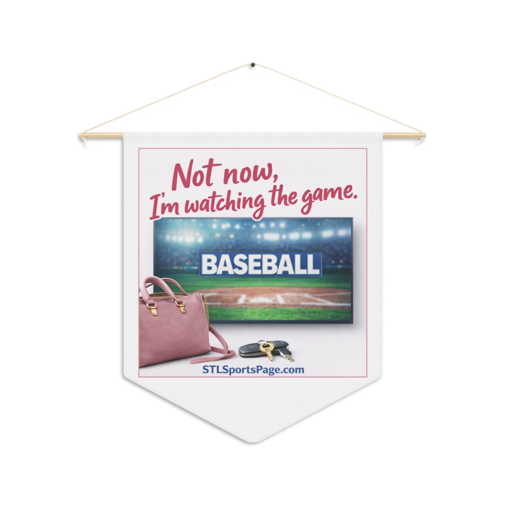 Baseball Fan Pennant — "Not now, I’m watching the game." TV Design